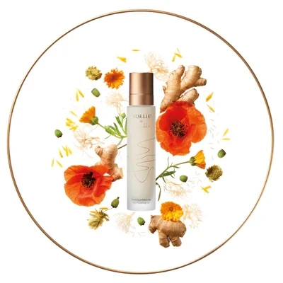 Purifying & Balancing Face Cleansing Gel – Klärender und Haut balancierender Gesichtsreiniger